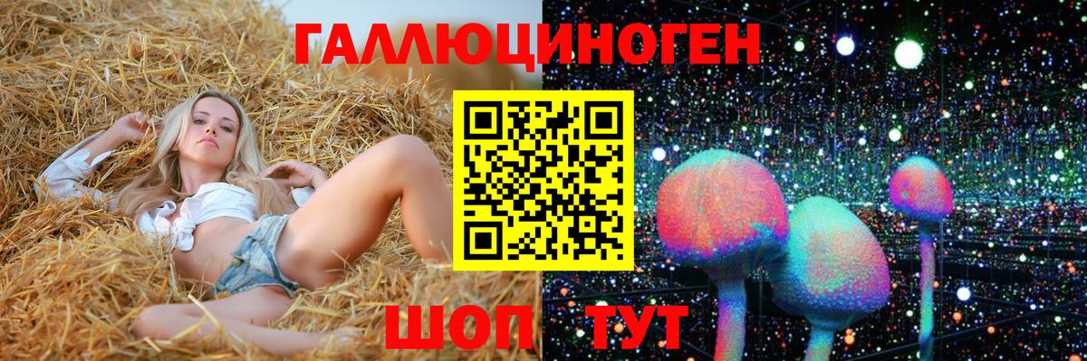 Котельники  Псилоцибиновые грибы Magic Shrooms  Вход с VPN 